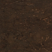 Slate Algae